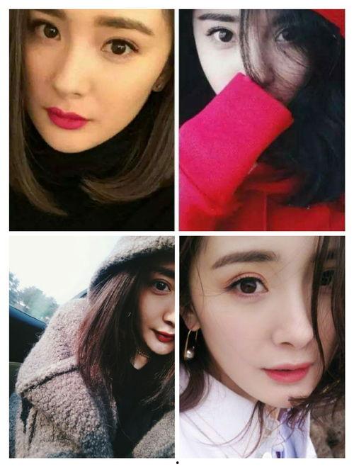 刘涛圈内爆料,一场惊心动魄的爆料风暴 第3张 刘涛圈内爆料,一场惊心动魄的爆料风暴 第3张